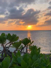 Scenic view of sea against sky during sunset