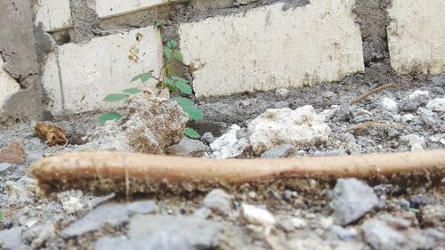 Close-up of damaged wall