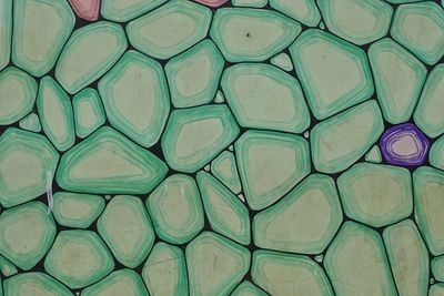 Full frame shot of pattern