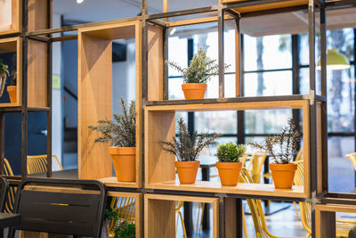 Potted plants on table against building