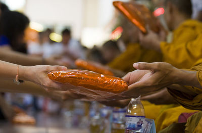 Close-up of hand holding crab