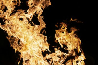 Close-up of bonfire at night