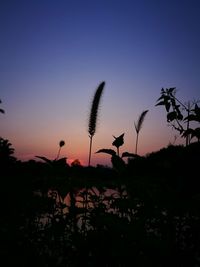 Silhouette plants against clear sky during sunset