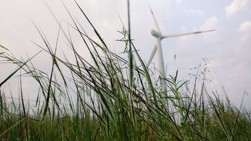 Traditional windmill on field against sky