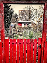 Plants growing by fence against building