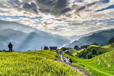 Scenic view of agricultural field against sky during sunset