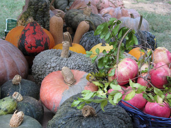 High angle view of pumpkins in market