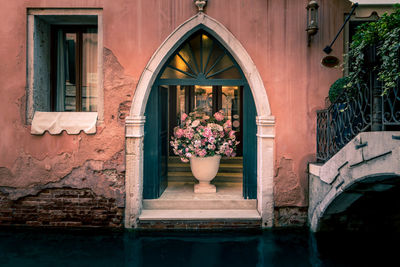 Potted plants by window of building