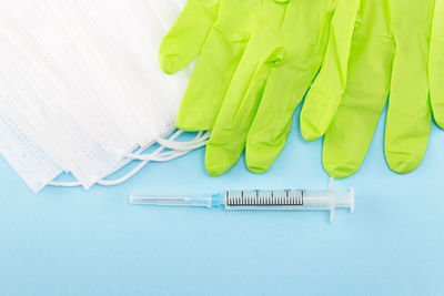 High angle view of leaves on table