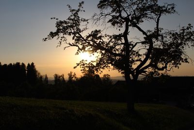 Scenic view of field against sky at sunset