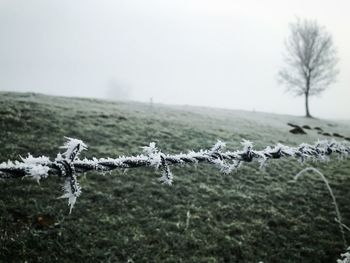 Close-up of snow on field against sky