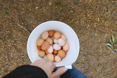 High angle view of hand holding eggs in container