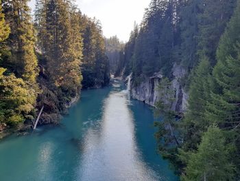 Panoramic view of river amidst trees in forest against sky