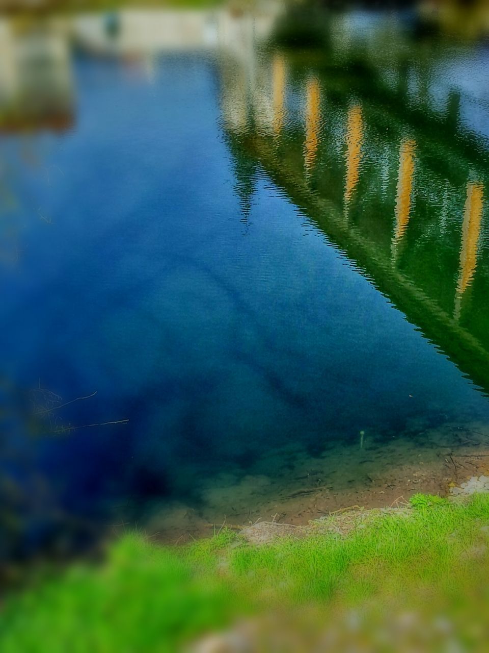 water, reflection, grass, lake, tranquility, nature, beauty in nature, tranquil scene, waterfront, pond, rippled, river, outdoors, no people, selective focus, high angle view, day, standing water, surface level, scenics