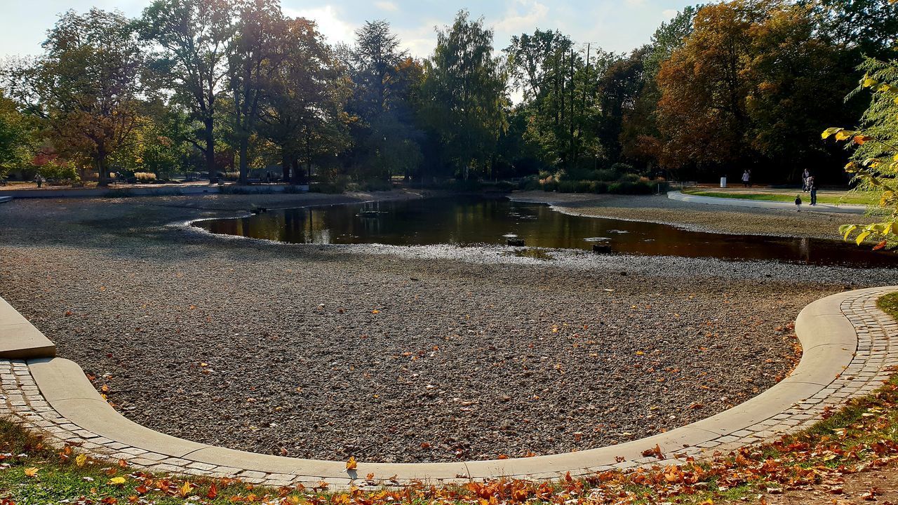 PARK BY LAKE DURING AUTUMN