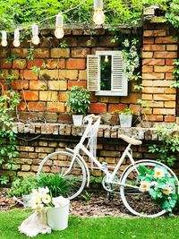 Potted plants on brick wall