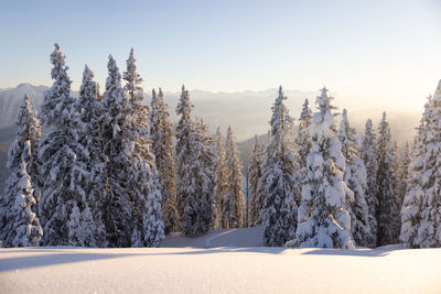 Winter in mountains. an amazing winter scenery with a lot of fresh snow. austrian alps