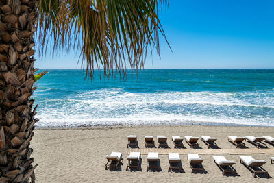 A selection of deck chairs out on a empty beach in marbella with a palm tree with waves crashing