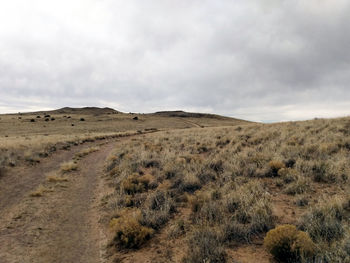 Scenic view of arid landscape against sky