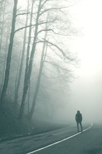 Rear view of silhouette person walking on road in foggy weather