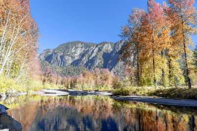 Scenic view of lake in forest against clear sky