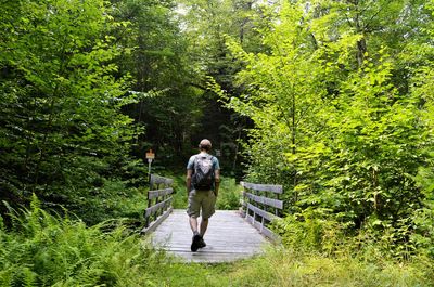 Rear view of couple walking on footpath in forest