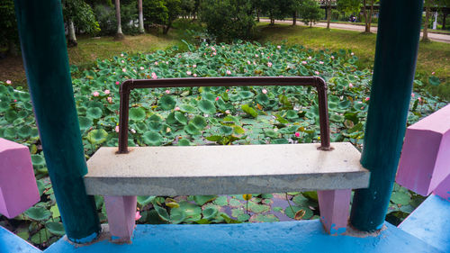 Bench in park