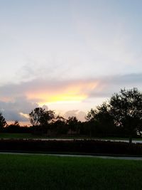 Silhouette trees on field against sky at sunset