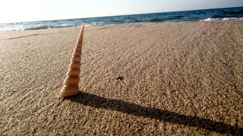 Close-up of sand on beach against sky