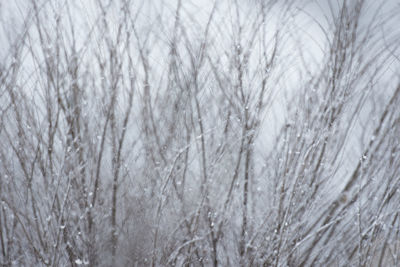 Full frame shot of snow covered land