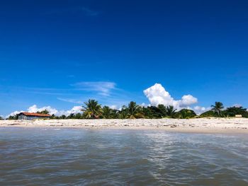 Scenic view of sea against blue sky