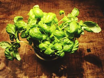 High angle view of vegetables on cutting board