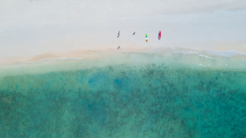 People in sea beach aerial view 