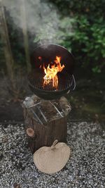 Bonfire on wooden log