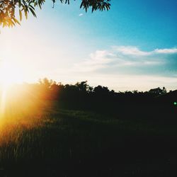 Scenic view of field against sky during sunset