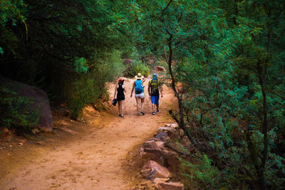 Rear view of people walking in forest