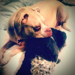 Portrait of young woman