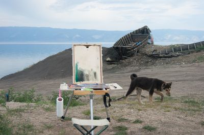 Horse cart on mountain against sky