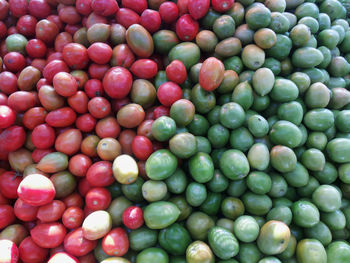 Full frame shot of tomatoes for sale at market