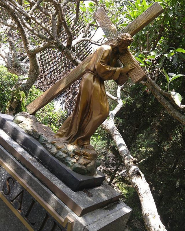 tree, art and craft, statue, sculpture, art, low angle view, creativity, human representation, religion, spirituality, park - man made space, branch, tree trunk, wood - material, day, growth, outdoors, temple - building