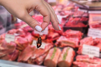 Cropped image of hand holding vegetables