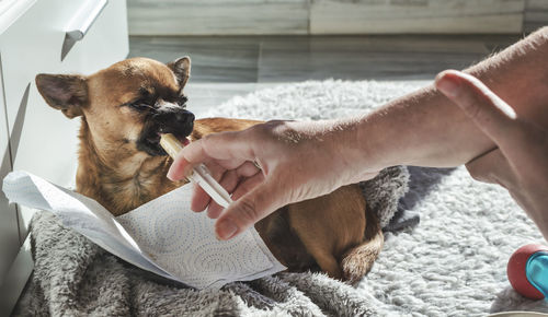 Midsection of man touching dog