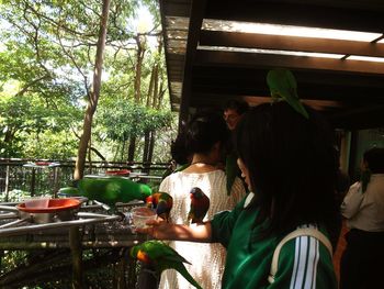 Rear view of people sitting at restaurant