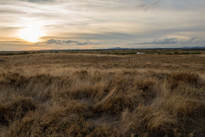 Scenic view of grassy field against sky during sunset