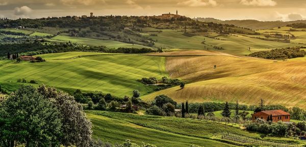 Scenic view of agricultural field against sky