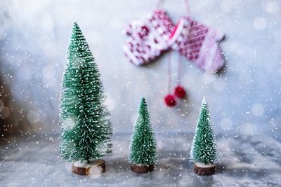 Close-up of christmas decorations on tree