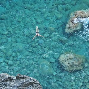 High angle view of turtle swimming in sea