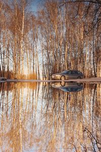 Scenic view of lake in forest