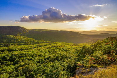 Scenic view of landscape against sky at sunset