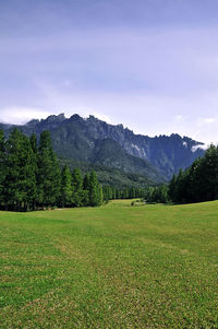 Scenic view of landscape against sky